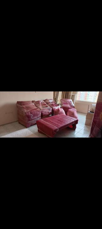 Adana Evden Eve Nakliyat ve Taşımacılık - Projet Nakliyat